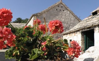 Radionica o ruralnom turizmu u Šibeniku