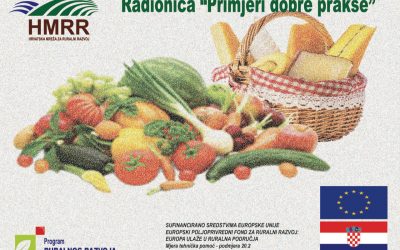Radionica “Primjeri dobre prakse”
